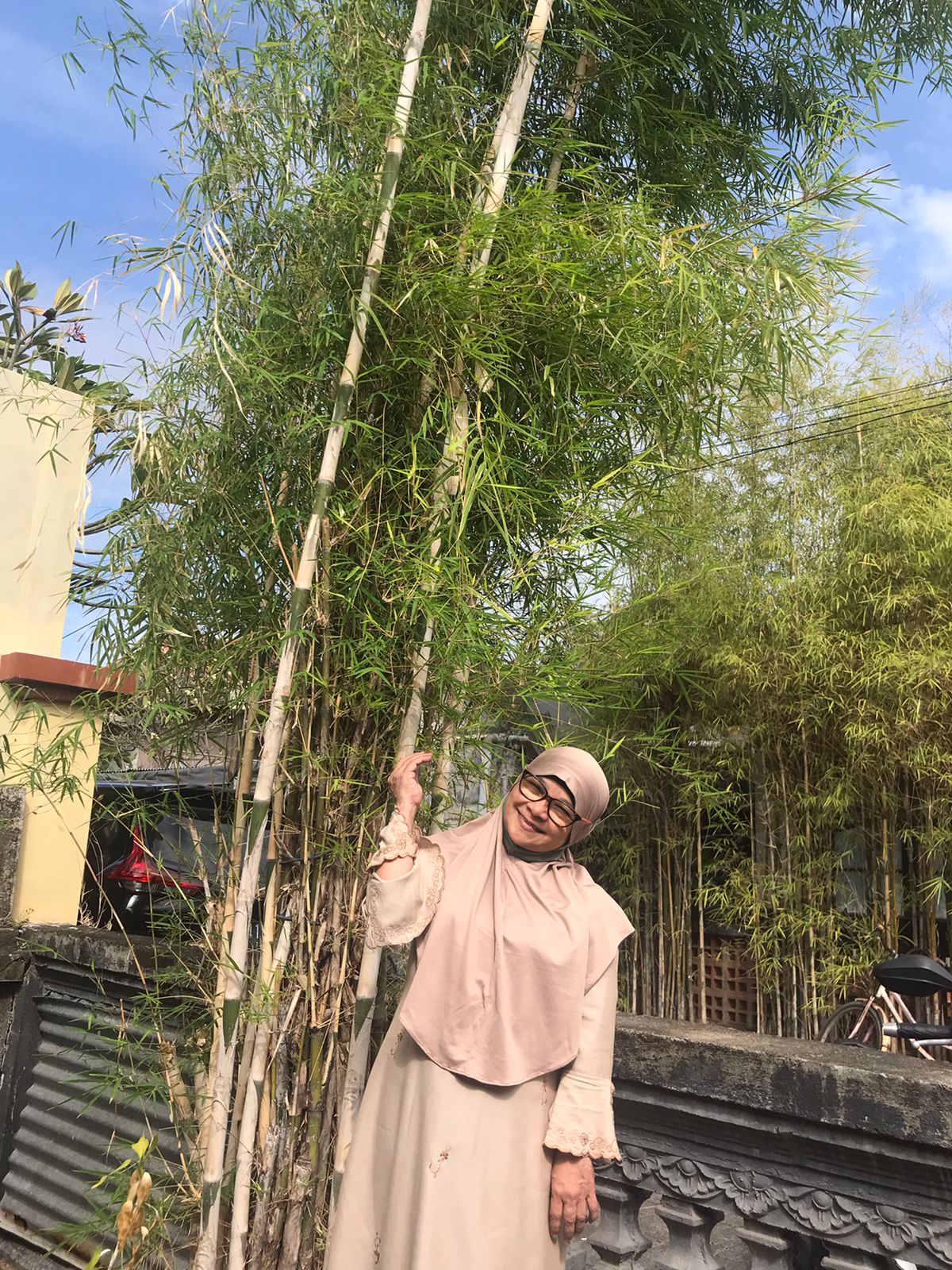 ini adalah foto 
