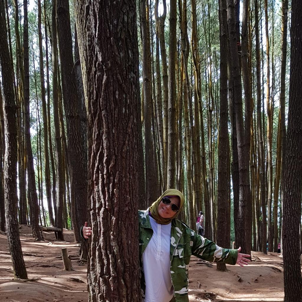 ini adalah foto 